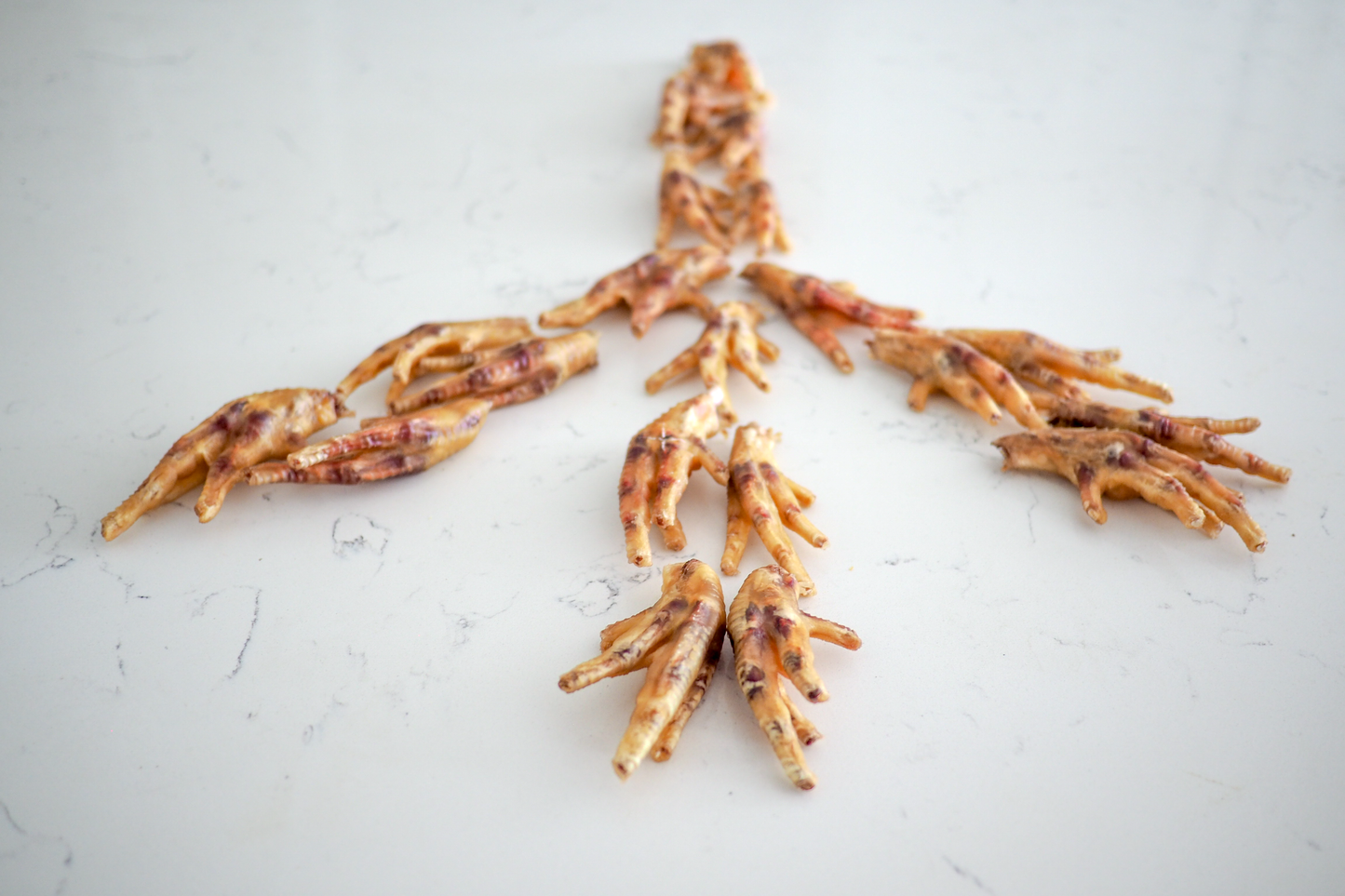 Dehydrated Chicken Feet for Dogs & Cats - Natural Chews, Healthy Treats, High Protein Snack, Grain-Free Pet Food